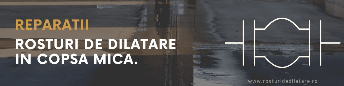 Reparatii Rosturi de Dilatare Copsa Mica