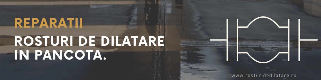 Reparatii Rosturi de Dilatare Pancota