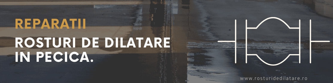 Reparatii Rosturi de Dilatare Pecica