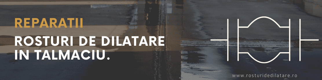 Reparatii Rosturi de Dilatare Talmaciu