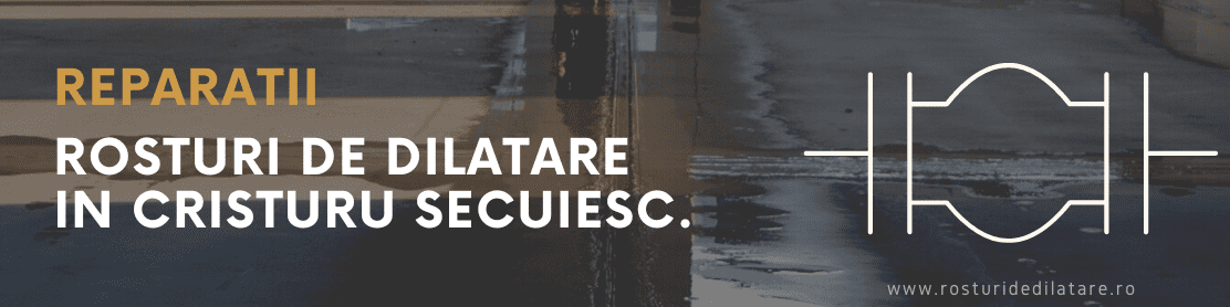 Reparatii Rosturi de Dilatare in Cristuru Secuiesc