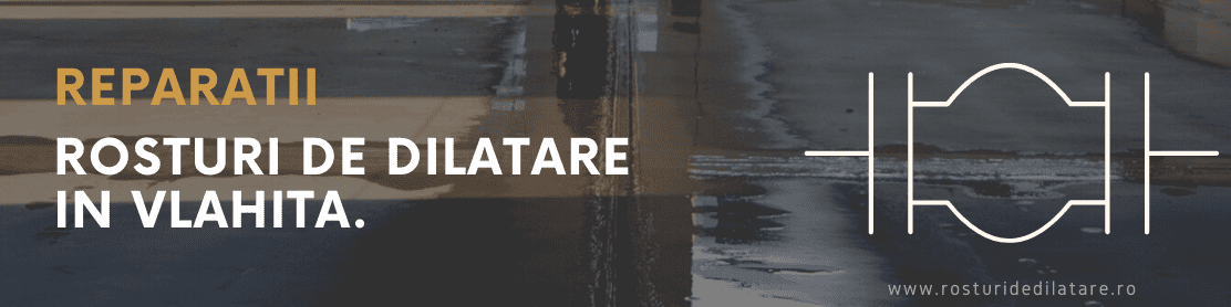 Reparatii Rosturi de Dilatare in Vlahita